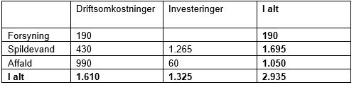 Tabel med økonomi for forretningsudviklingsplan